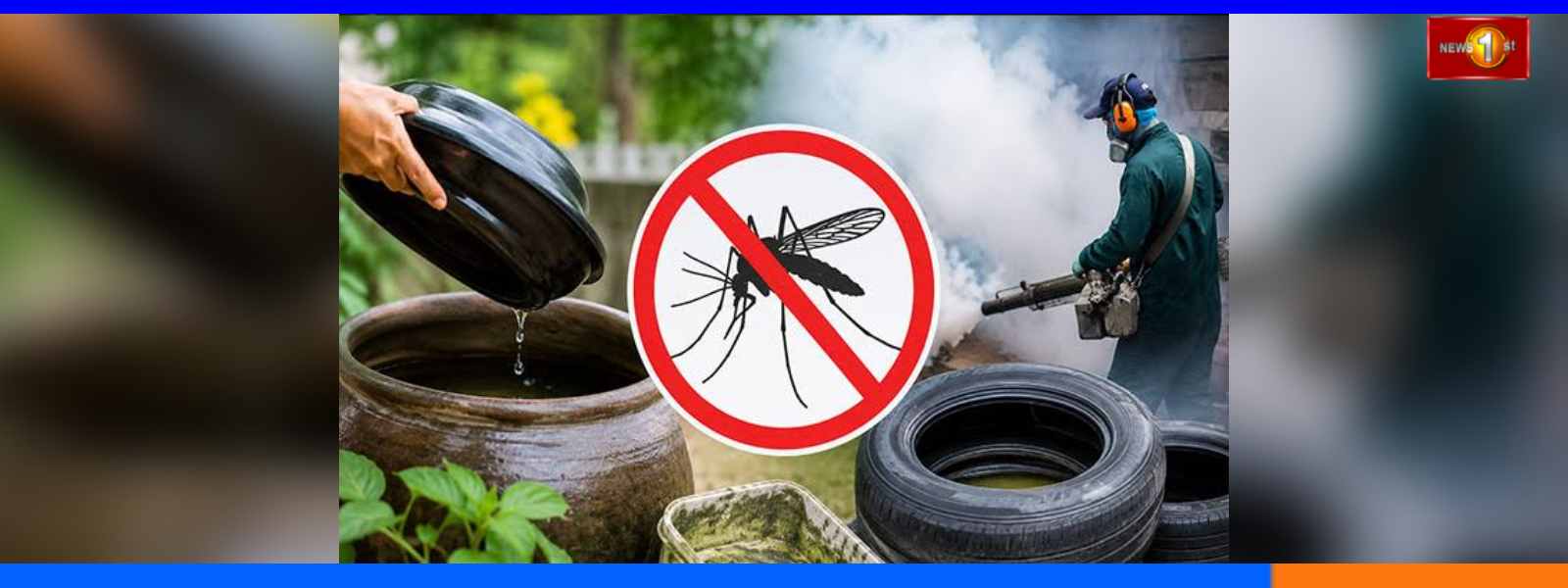 පළාත් හතක, අද සිට විශේෂ මදුරු මර්දන සතියක්